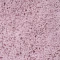 Коврик WasserKRAFT Kammel Chalk Pink BM-8309 - 4