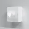 Шкаф двустворчатый 60x68,5 см белый глянец Am.Pm Func M8FCH0602WG - 1